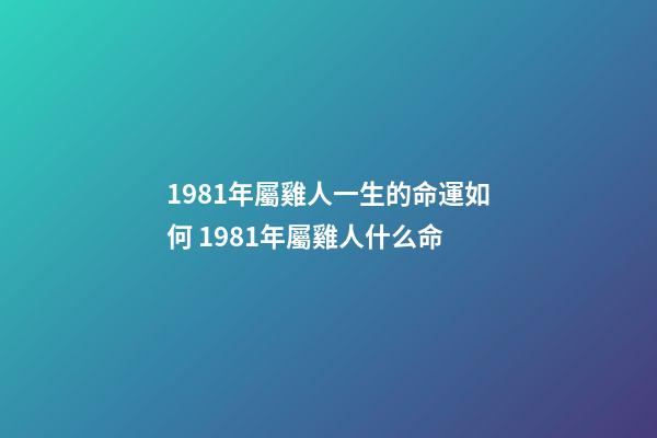 1981年屬雞人一生的命運如何 1981年屬雞人什么命-第1張-觀點-玄機派